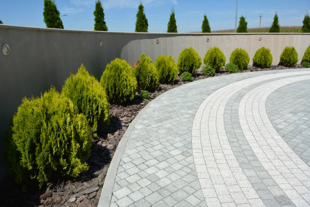 Best Professional Driveway Pavers  in Milmay, NJ