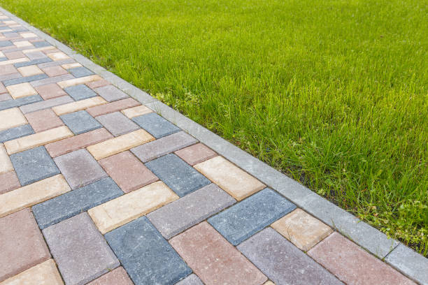 Best Driveway Paving Near Me  in Milmay, NJ